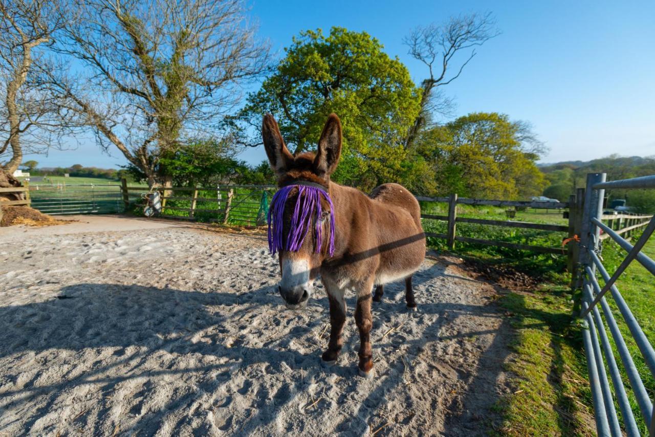 Grampound Beautiful Willow Lodge 67-4-6 Persons-Private Hot Tub-Pet Friendly-Tranquil Holiday Away From It All Yet Not Far To St Austell-The Holiday Home Has Two Bedrooms, Living & Dining Area, Equipped Kitchen -Decking-Al Fresco Dining-Fishing Lakes-Pet Frien מראה חיצוני תמונה