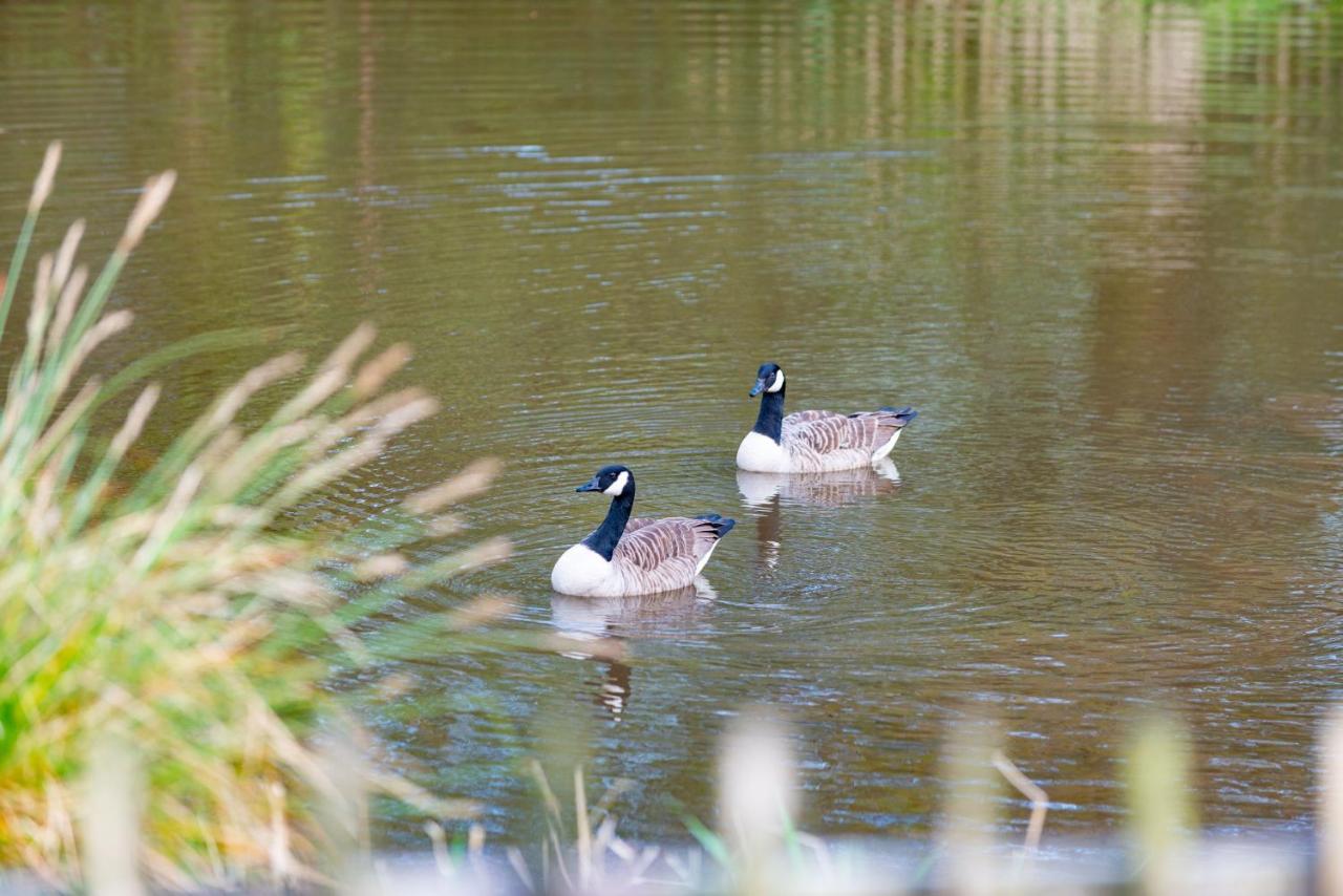 Grampound Beautiful Willow Lodge 67-4-6 Persons-Private Hot Tub-Pet Friendly-Tranquil Holiday Away From It All Yet Not Far To St Austell-The Holiday Home Has Two Bedrooms, Living & Dining Area, Equipped Kitchen -Decking-Al Fresco Dining-Fishing Lakes-Pet Frien מראה חיצוני תמונה